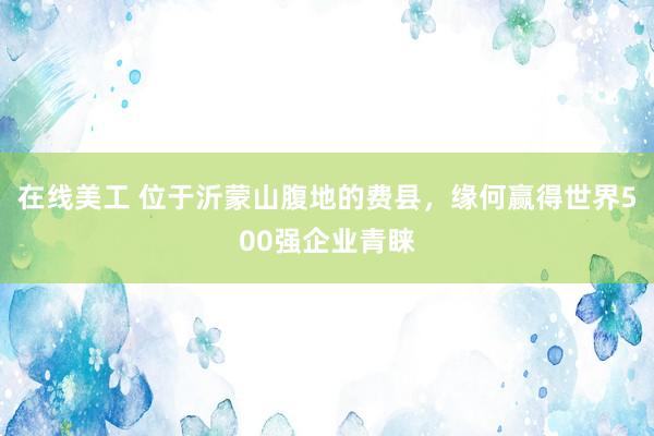 在线美工 位于沂蒙山腹地的费县，缘何赢得世界500强企业青睐